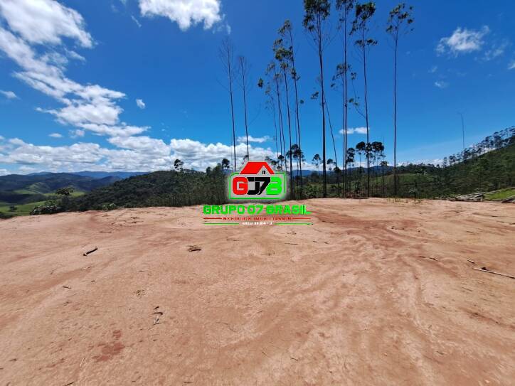 Terreno, 3 hectares - Foto 6