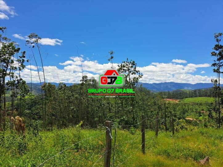 Terreno, 3 hectares - Foto 10
