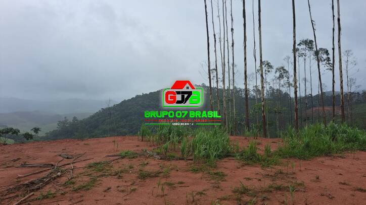 Terreno, 3 hectares - Foto 32