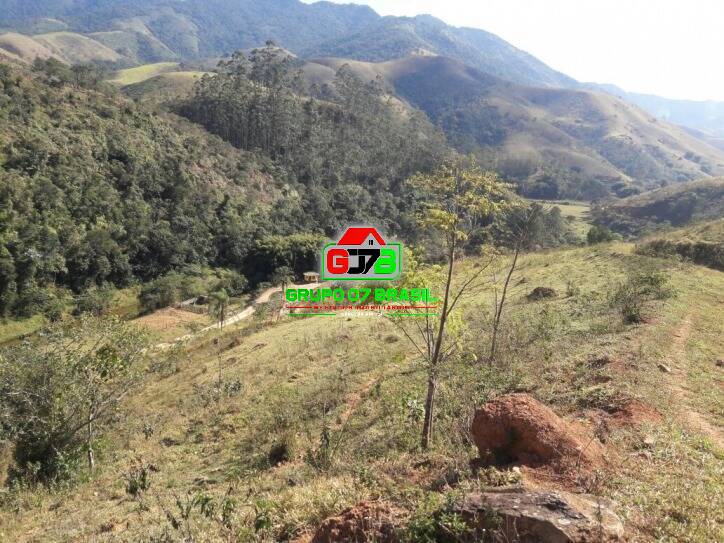 Terreno, 2 hectares - Foto 3