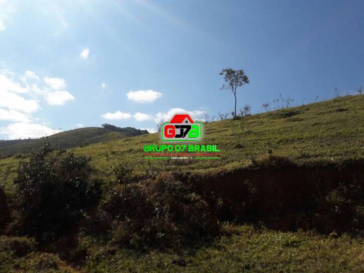 Terreno, 2 hectares - Foto 4