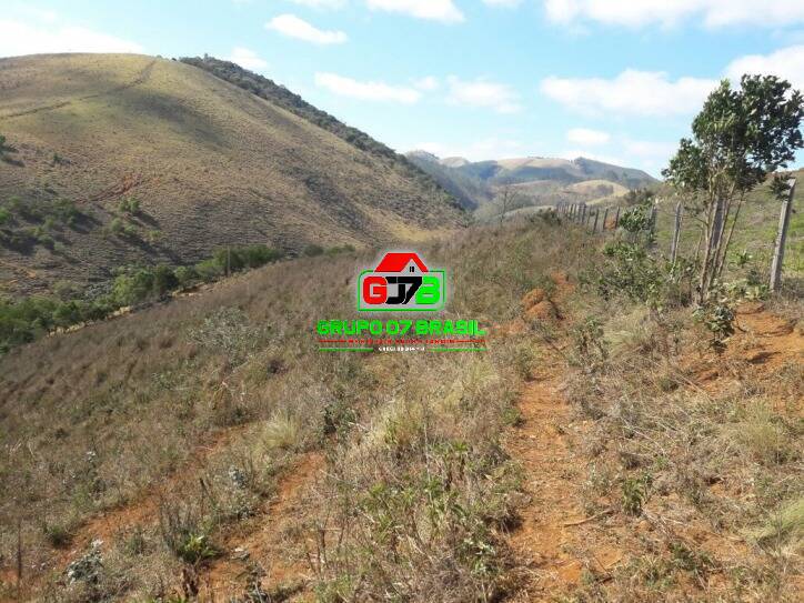 Terreno, 2 hectares - Foto 7