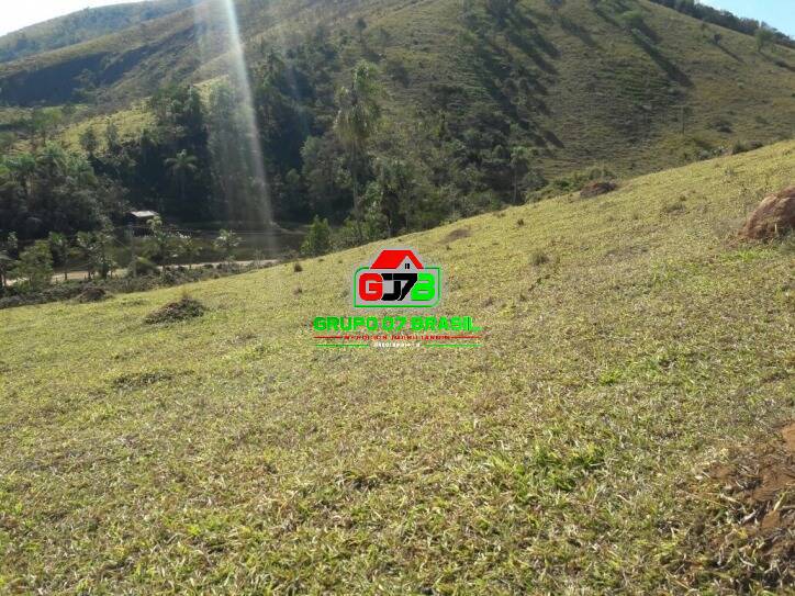 Terreno, 2 hectares - Foto 9