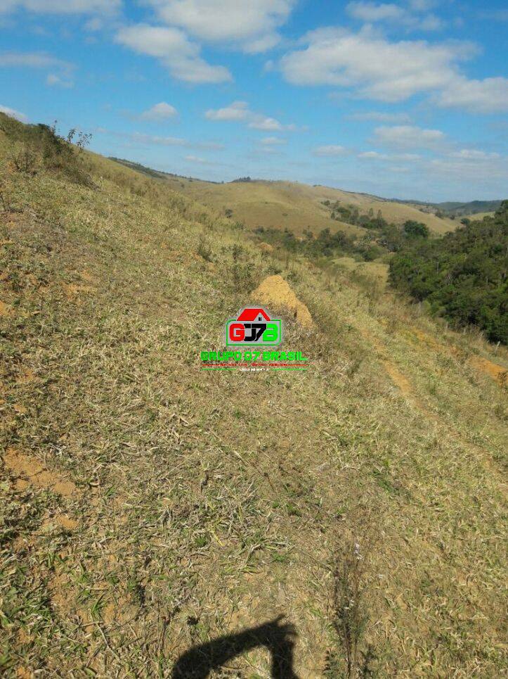 Terreno, 2 hectares - Foto 12