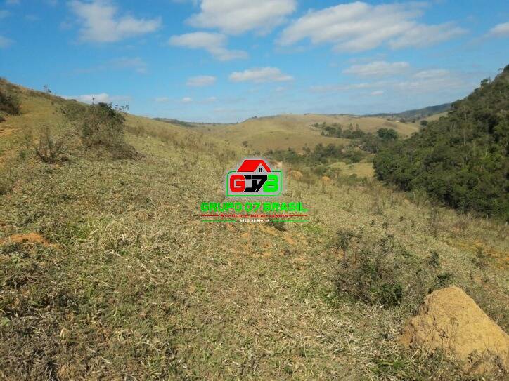 Terreno, 2 hectares - Foto 15