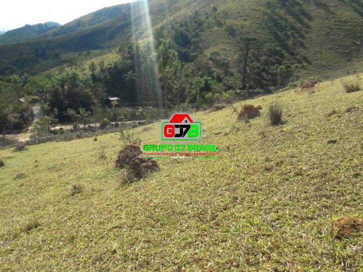 Terreno, 2 hectares - Foto 17