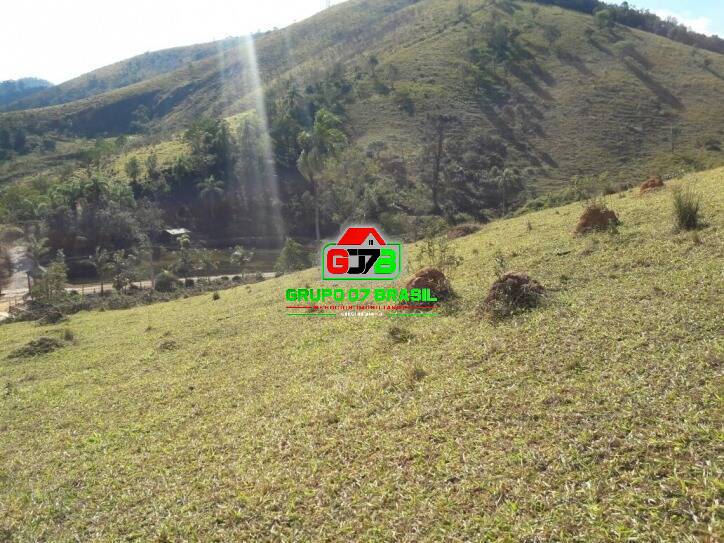 Terreno, 2 hectares - Foto 18