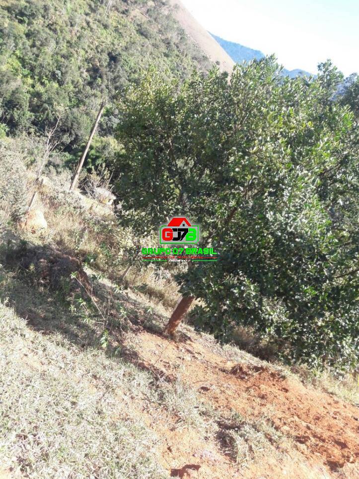 Terreno, 2 hectares - Foto 28