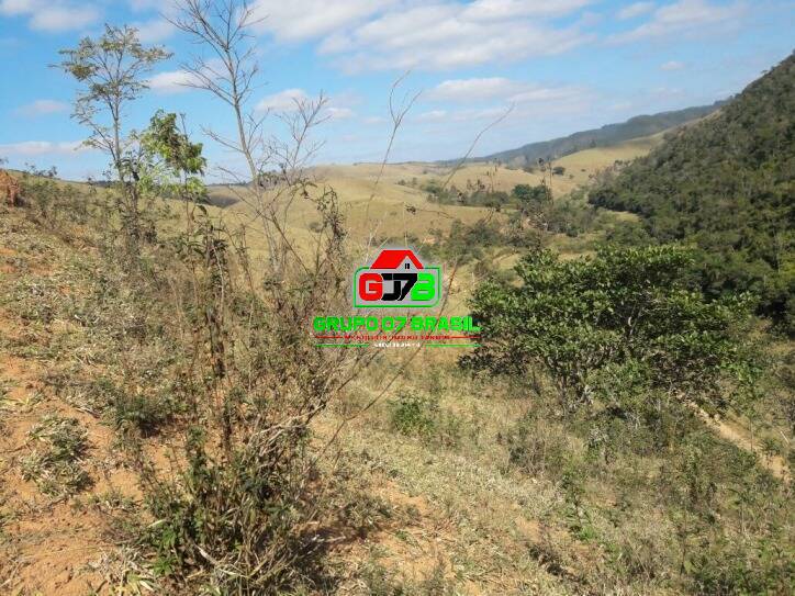 Terreno, 2 hectares - Foto 34