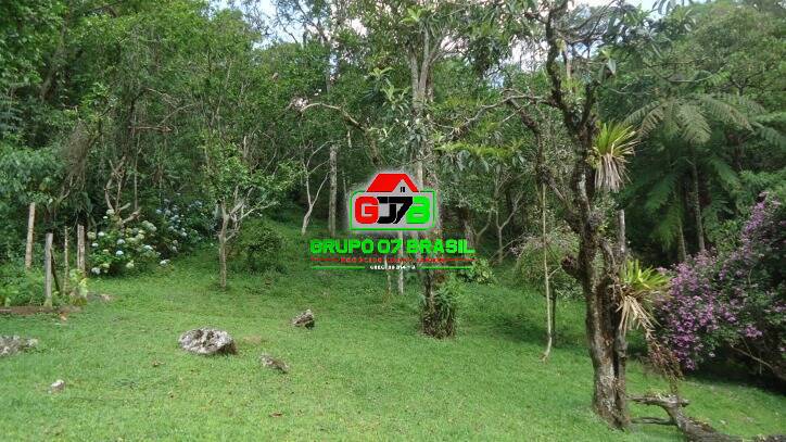 Sítio à venda com 4 quartos, 40000m² - Foto 41