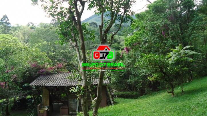 Sítio à venda com 4 quartos, 40000m² - Foto 45