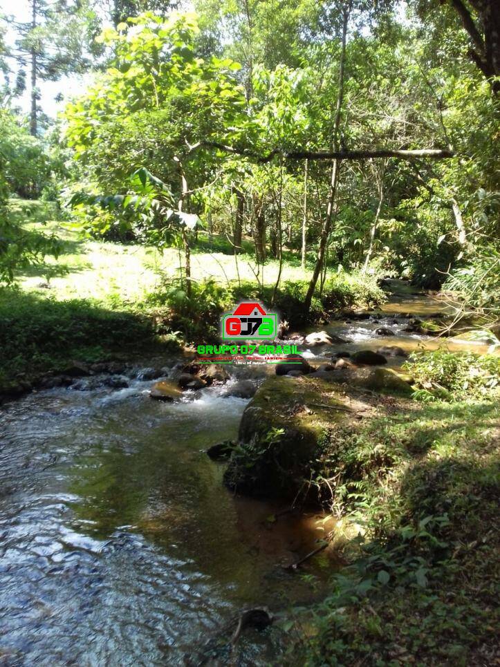 Sítio à venda com 4 quartos, 40000m² - Foto 51
