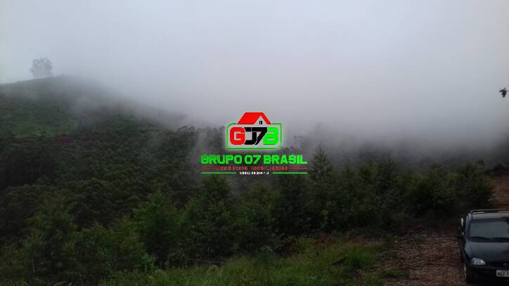 Terreno, 3 hectares - Foto 3