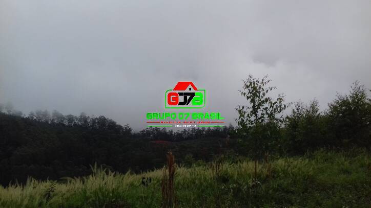 Terreno, 3 hectares - Foto 4