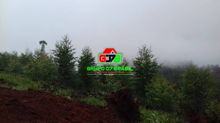 Terreno, 3 hectares - Foto 5