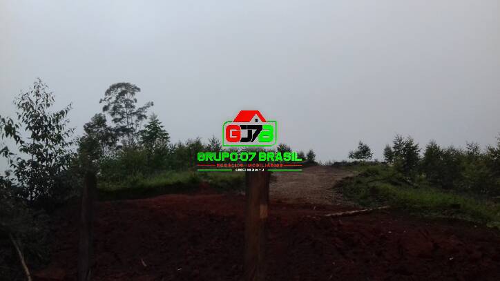 Terreno, 3 hectares - Foto 6