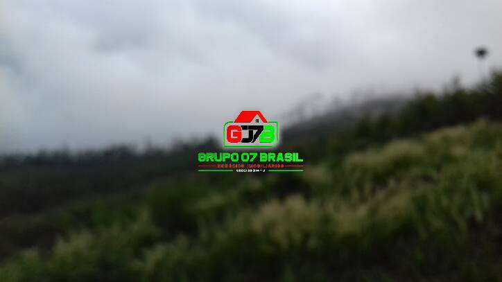 Terreno, 3 hectares - Foto 7