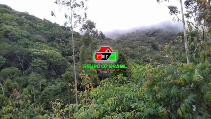 Terreno, 3 hectares - Foto 9