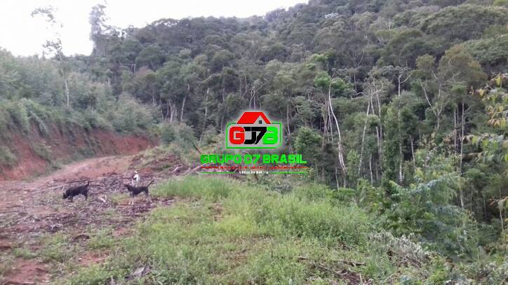 Terreno, 3 hectares - Foto 1