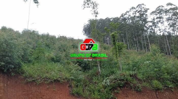 Terreno, 3 hectares - Foto 11