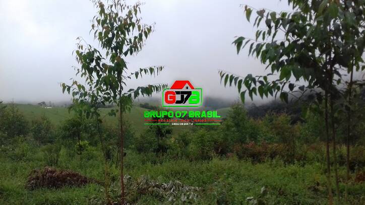 Terreno, 3 hectares - Foto 13