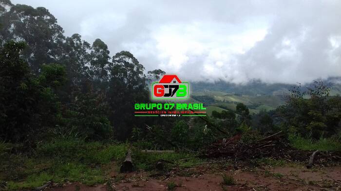 Terreno, 3 hectares - Foto 14