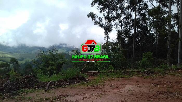 Terreno, 3 hectares - Foto 15