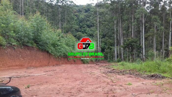 Terreno, 3 hectares - Foto 16