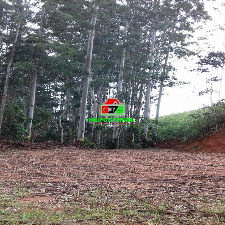 Terreno, 3 hectares - Foto 18