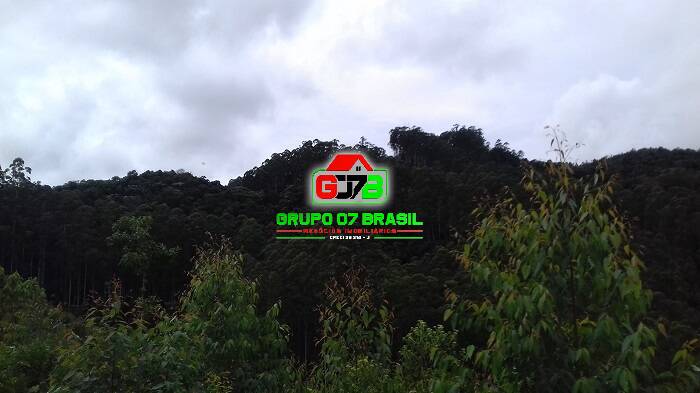 Terreno, 3 hectares - Foto 19