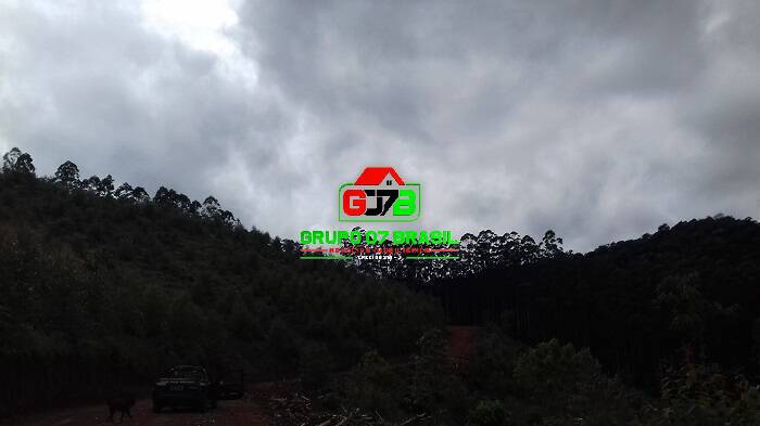 Terreno, 3 hectares - Foto 21