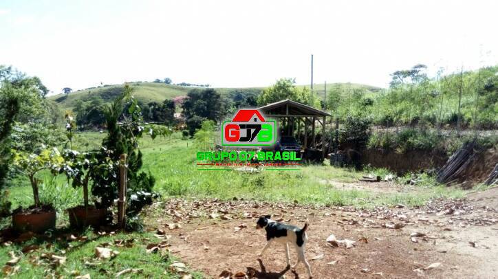 Terreno, 3 hectares - Foto 5